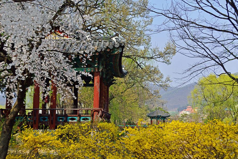 입선(김헌규)-삼거리공원의 봄